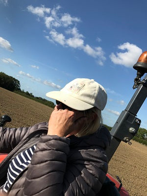 Planting Nordmann Fir Saplings