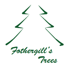 Fothergill's Christmas Trees