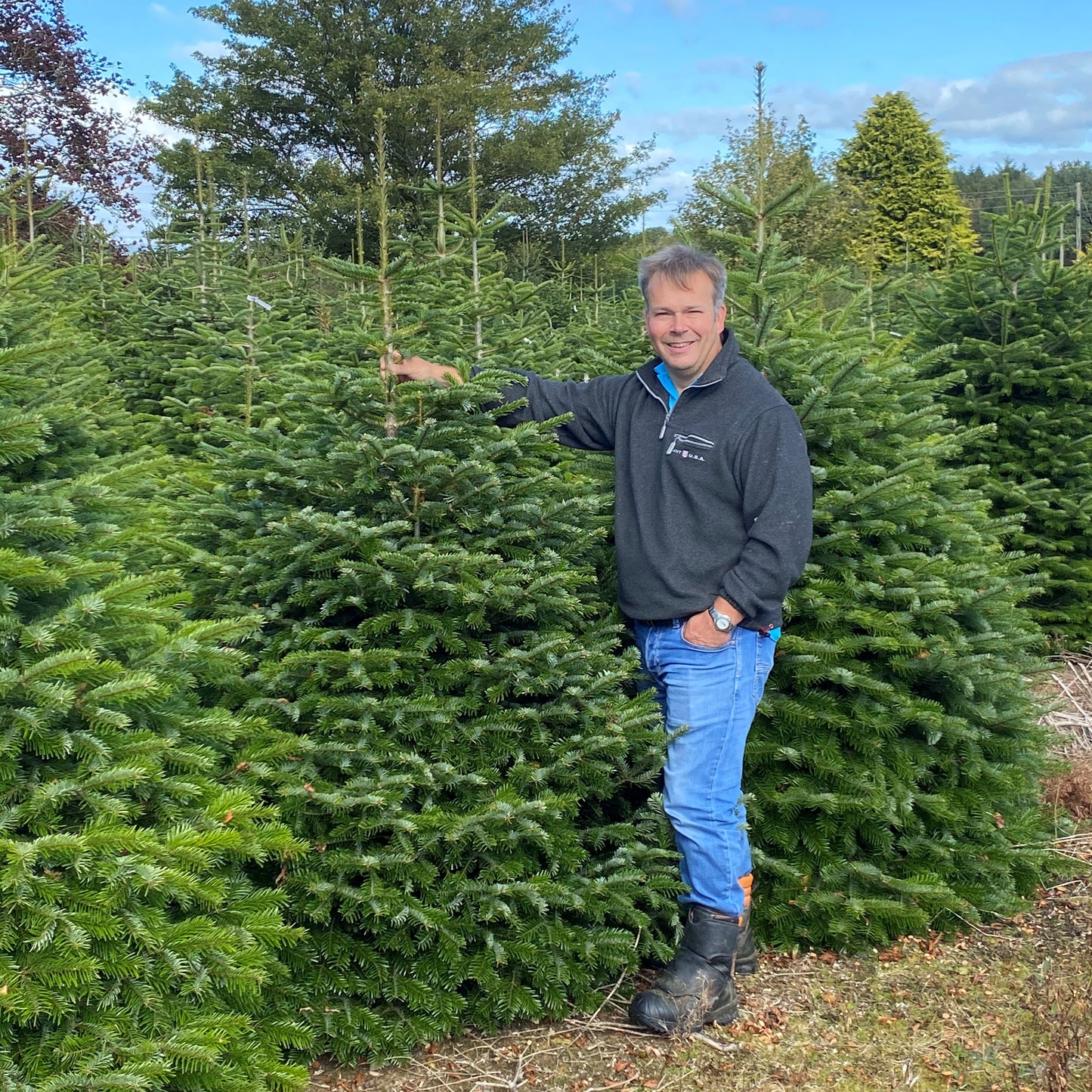 Real Christmas Tree Billingley Christmas Trees