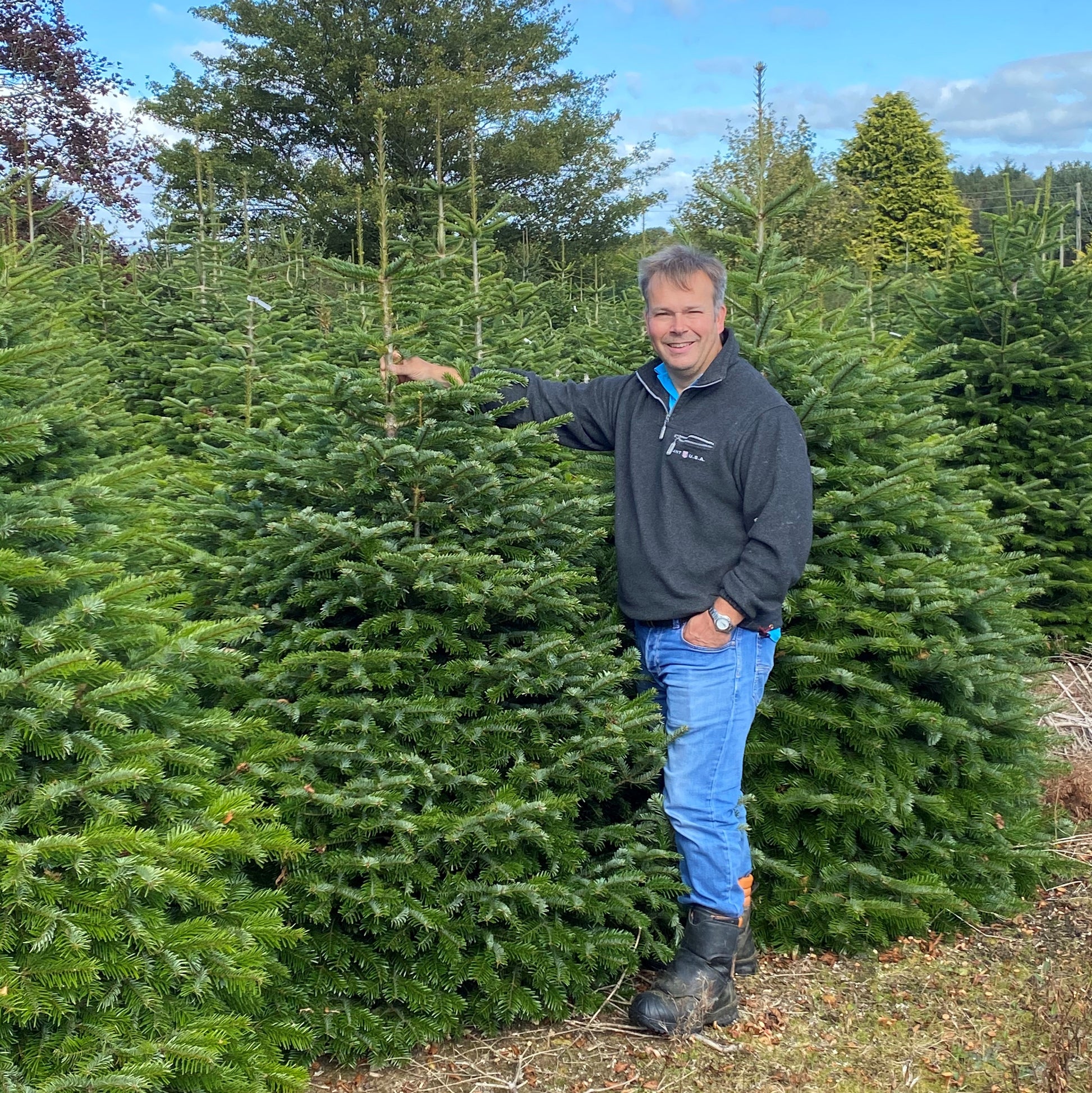 Real Christmas Tree Billingley Christmas Trees